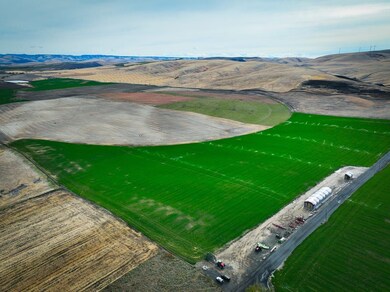 50671 Schubert Rd, Milton Freewater, OR 97862 - photo 4