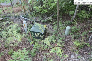 TBD Morgan's Ridge Drive #9 (Morgan's Ridge In Echota), Banner Elk, NC 28604 - photo 3