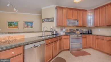 24636 Woolly Mammoth Terrace unit 407, Aldie, VA 20105 - photo 5
