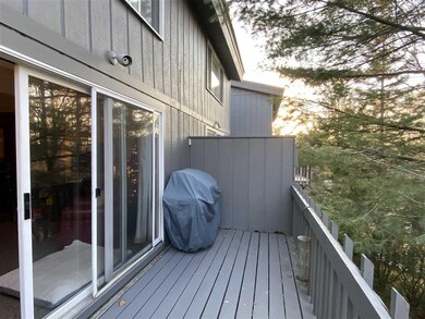 3 Stratton Rd W, Winhall, VT 05340 - photo 6