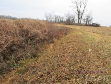 9000 BLK Mills-MacOn Hwy, Tecumseh, MI 49286 - photo 2