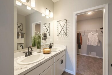 Owner's Bath