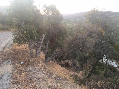 0 Vac Austin Way Vic Newview Dr unit IN25152572, Lake Hughes, CA 93532 - photo 6