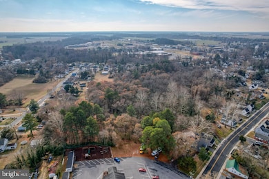 99999 Ionia Ave, Laurel, DE 19956 - photo 5