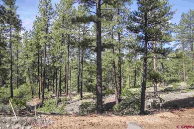 0 Calico Trail unit 702766, Durango, CO 81301 - photo 3