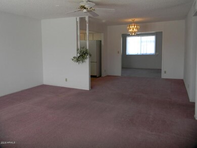 Carpet 1