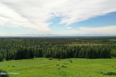 E3 Alaskan Wildwood Ranch(r), Nikolaevsk, AK 99556 - photo 3