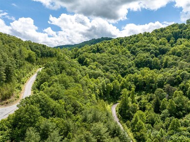 64 Mountain Magnolia Dr unit 51, Leicester, NC 28748 - photo 7
