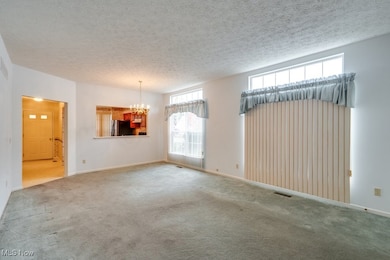 1111 Lake Meadow Ln, Brunswick, OH 44212 - photo 5