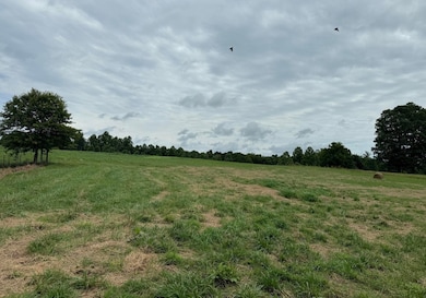 0 Stockton Rd, Jamestown, TN 38556 - photo 7