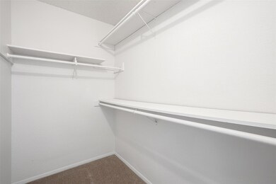 Walk in closet featuring carpet