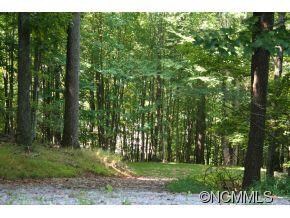 1218 Kanawa Ln unit 123, Arden, NC 28704 - photo 2