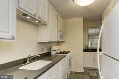 2217 Washington Ave unit 101, Silver Spring, MD 20910 - photo 6