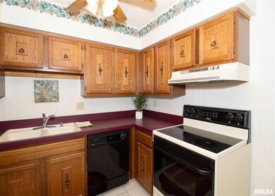 2501 26th Avenue Ct unit 1K, Rock Island, IL 61201 - photo 5