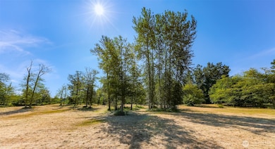 353 E Silverado Ct, Bellingham, WA 98226 - photo 5