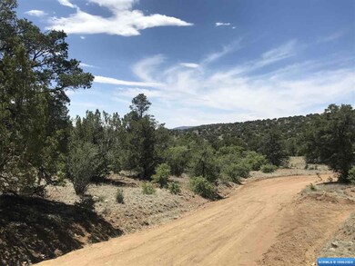 xx Oakhurst & Nizhoni, Silver City, NM 88061 - photo 3