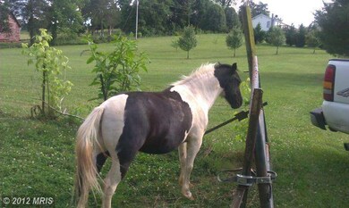 609 Pass Run Rd, Luray, VA 22835 - photo 4