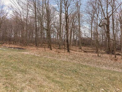 Yard. View from the kitchen. No houses right behind you.