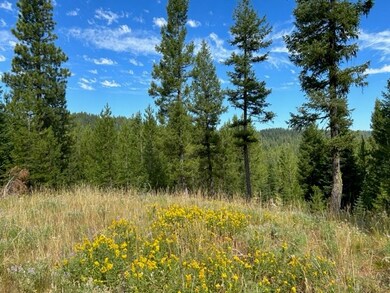 37 Challis Ln unit 13, Cascade, ID 83611 - photo 5