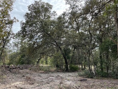 Plenty of mature trees