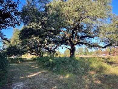 261 N County Line Rd, Sylvester, GA 31791 - photo 5