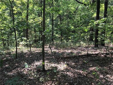 0 Leland Ln unit 1185013, Bella Vista, AR 72715 - photo 7