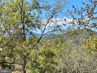 0 Tiger Valley Rd unit VARP2002288, Washington, VA 22747 - photo 2