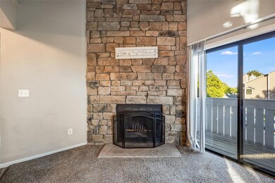 4313 S Andes Way unit 202, Aurora, CO 80015 - photo 4