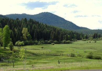 View of Meadow