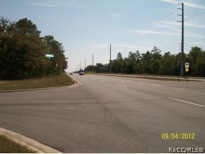 1990 E Norvell Bryant Hwy, Hernando, FL 34442 - photo 2