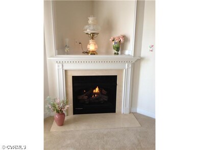 Living Room - Gas fireplace in the Living Room.