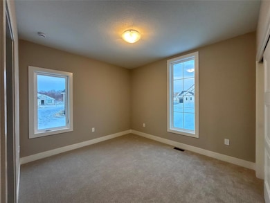 347 S Cedar Ridge Cove, West Des Moines, IA 50266 - photo 5