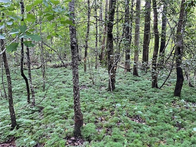 00 N Little River Rd, Salem, SC 29676 - photo 5