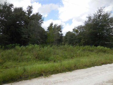 21630 SE 71st Place, Morriston, FL 32668 - photo 4