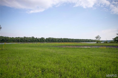 1218 N Park St, Hardin, IL 62047 - photo 4