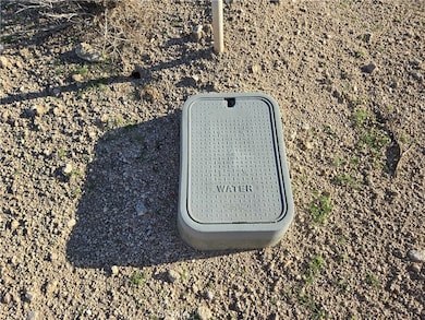 5440 Shoshone Valley Rd, Twentynine Palms, CA 92277 - photo 3