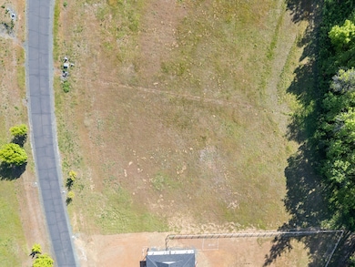 20_565 e forks cir - drone - 3