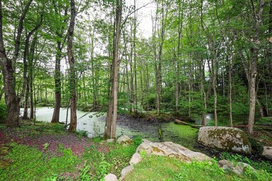 10 Waterville Dr, MerriMacK, NH 03054 - photo 5