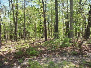 0 York Drive & Leeds Ln, Bella Vista, AR 72714 - photo 2