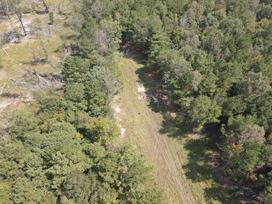 County Road 332 unit LotWP003, Wilmar, AR 71675 - photo 5