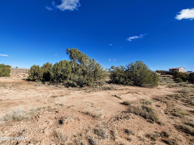 Parcel 2 W Shumway Rd, Taylor, AZ 85901 - photo 6
