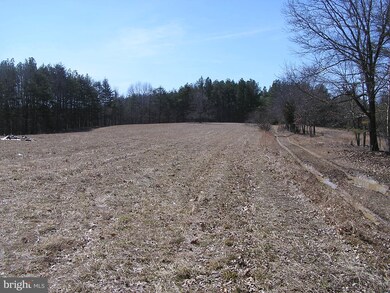 2337 Green Spring Rd, Winchester, VA 22603 - photo 5