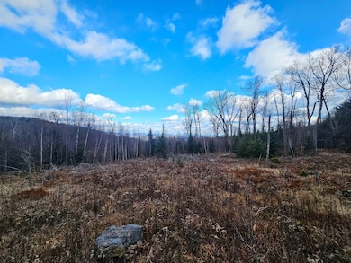 706 Vt Route 100, Stratton, VT 05360 - photo 5