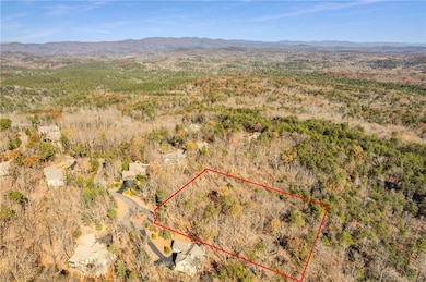 3356 Bee Balm Way, Big Canoe, GA 30148 - photo 3