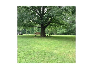 PARK LIKE YARD