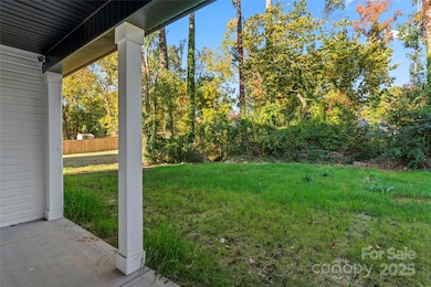 2909 New Pineola Rd, Charlotte, NC 28208 - photo 7