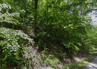 Holiday Ln unit Smithville TN 37166, Smithville, TN 37166 - photo 5