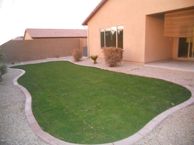Back yard