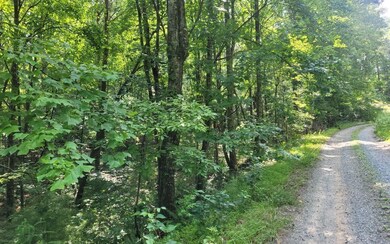 Additional View