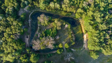 404 Barry Dr, Alger, MI 48610 - photo 7